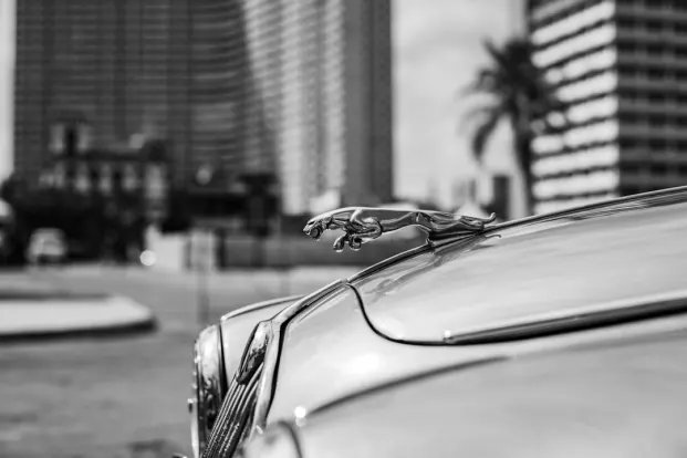 PocketWin Casino Application Android/iOS