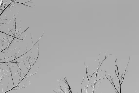 PocketWin Casino Assistance